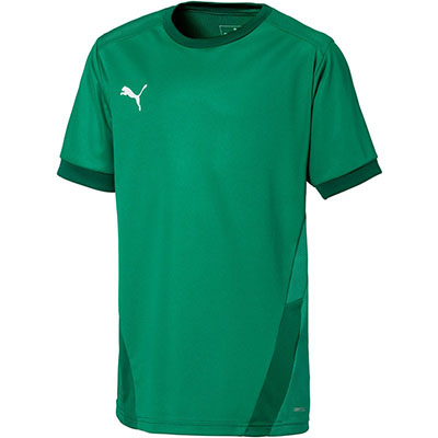 puma teamgoal 23 jersey